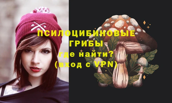 прущая мука Гусь-Хрустальный